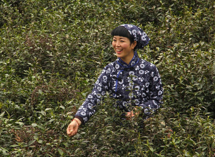 吉尔达